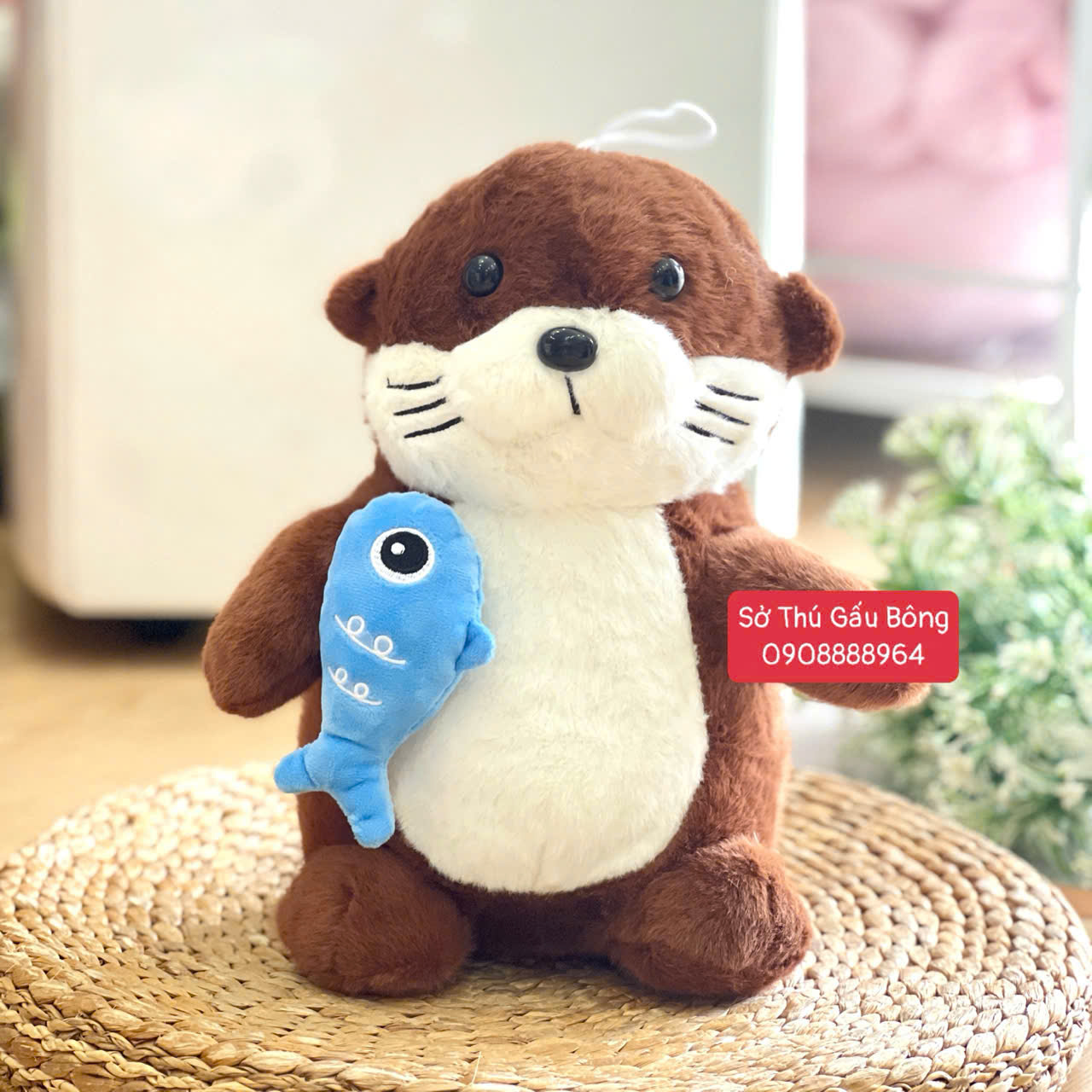 Hải Cẩu / Rái Cá Cầm Cá