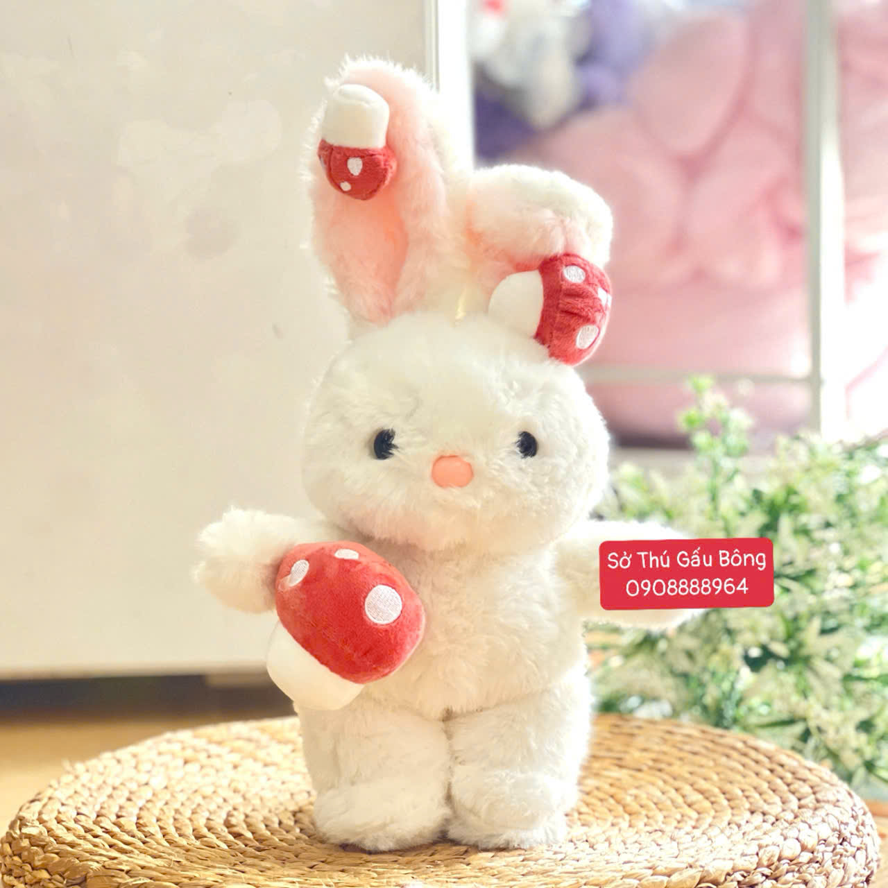 Thỏ Bông Cầm Nấm