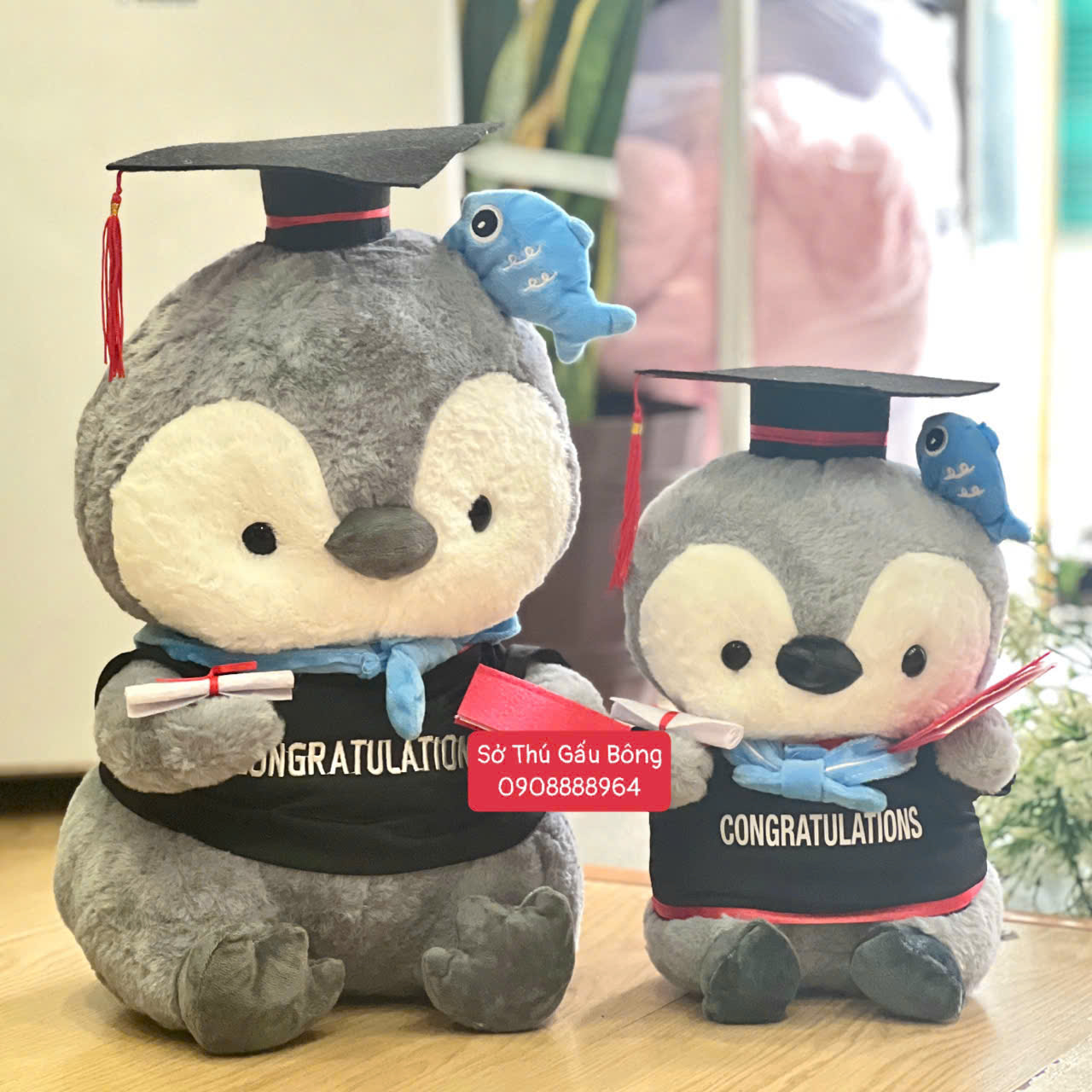 Gấu Tốt Nghiệp - Chim Cánh Cụt Choàng Khăn Đầu Cá