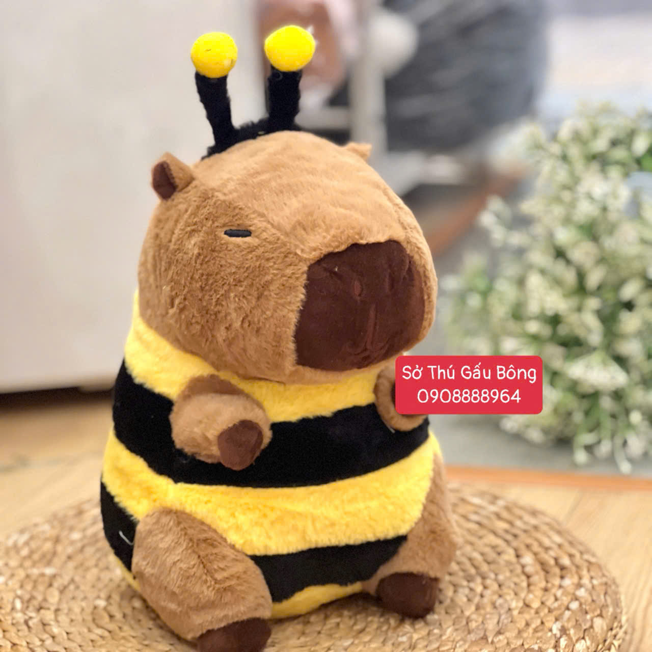 Chuột Bông Capybara Mình Ong
