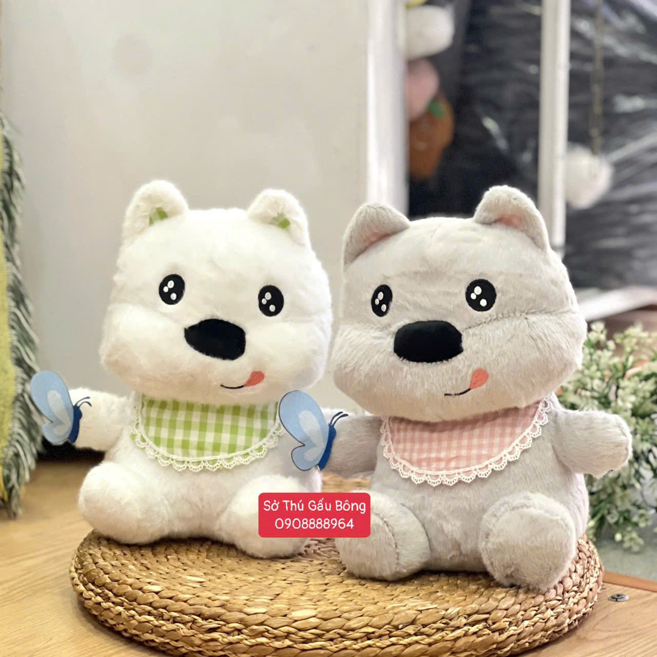 Chó Bông Cầm Bướm