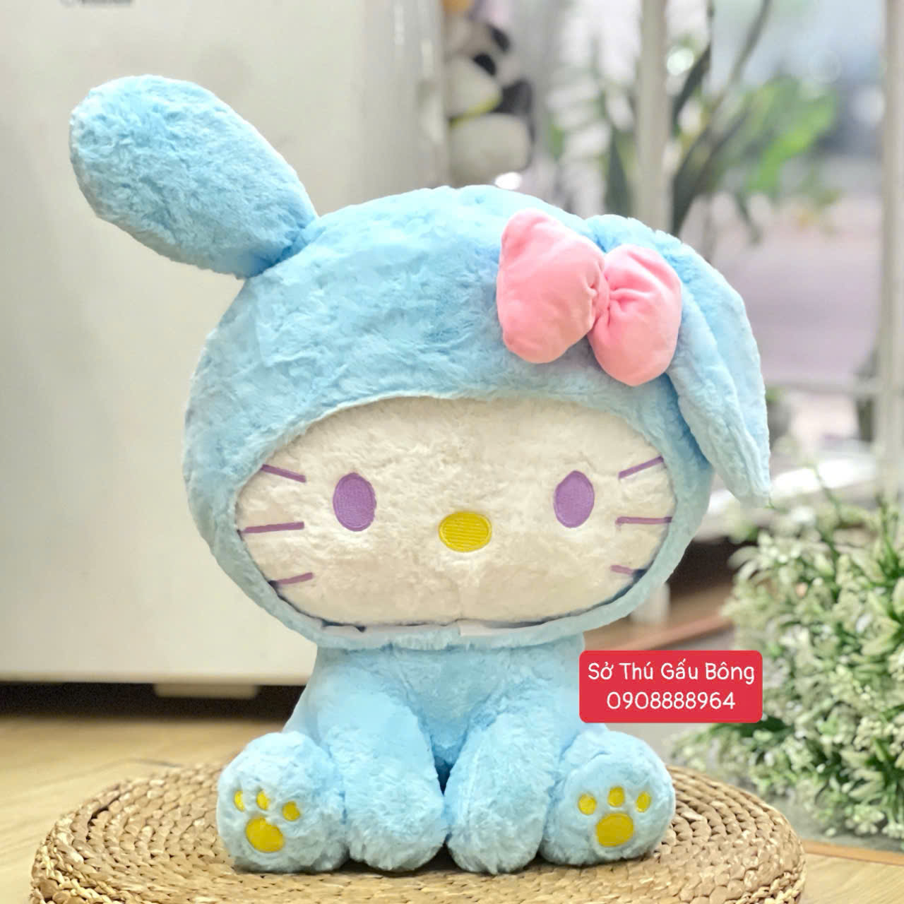Mèo Kitty Cosplay Thỏ