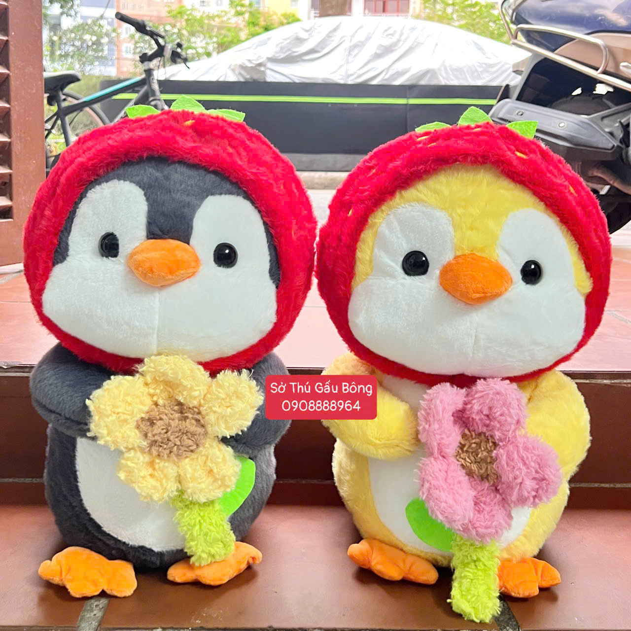 Chim Cánh Cụt Nón Dâu Ôm Hoa