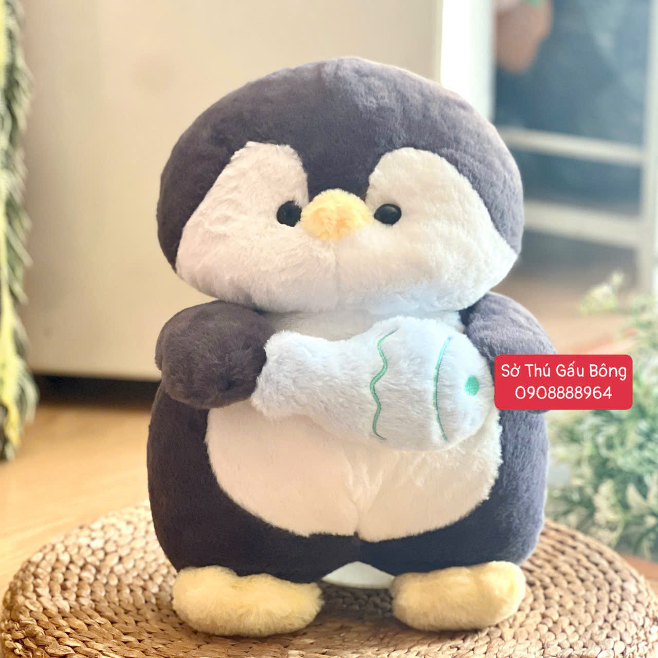 Chim Cánh Cụt Ôm Cá