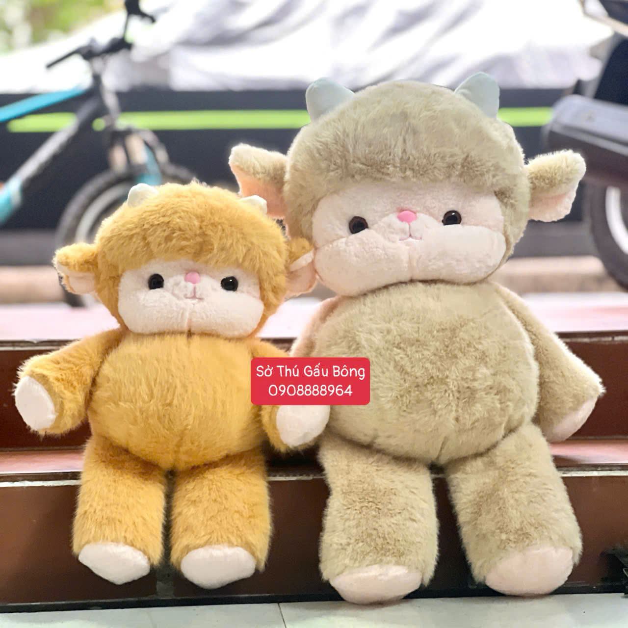 Cừu Bông Chạy Bộ