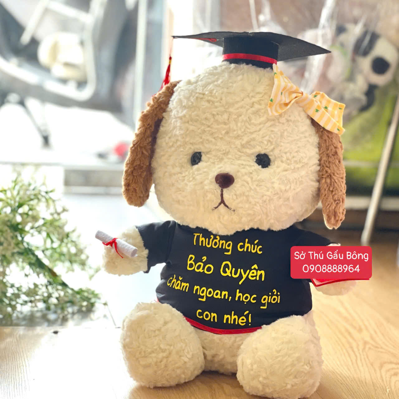 Gấu Tốt Nghiệp - Chó Yếm Nơ Khóm
