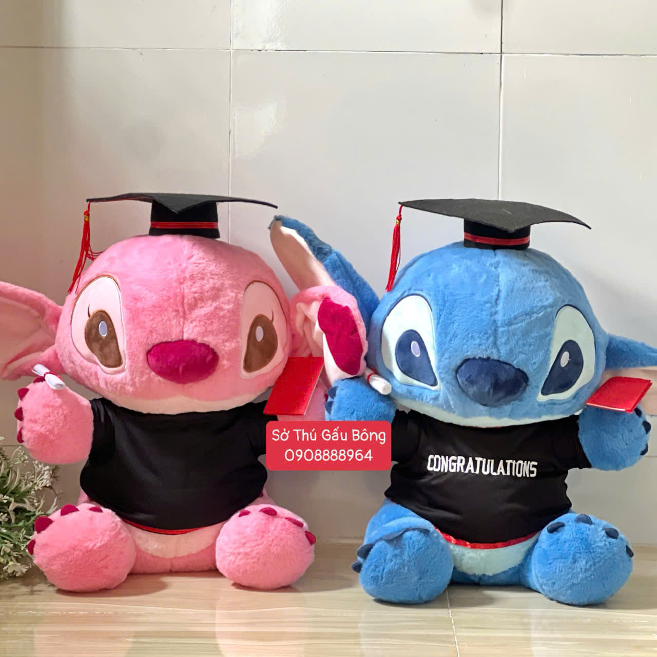 Gấu Tốt Nghiệp - Stitch Hoa Hồng